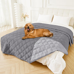 Smiry waterproof dog bed cover on grey 82x120 protecting sofa from spills
