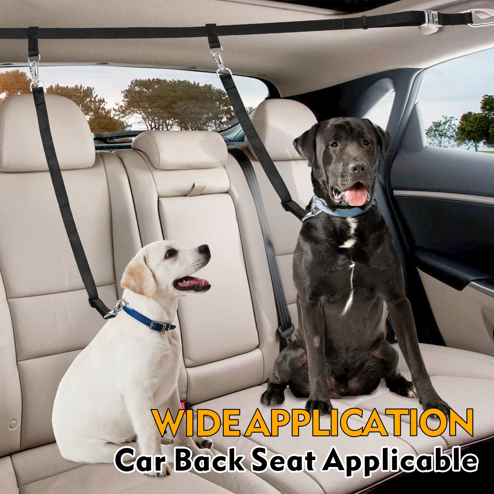 Snagle Paw truck bed leash in action for safer car rides