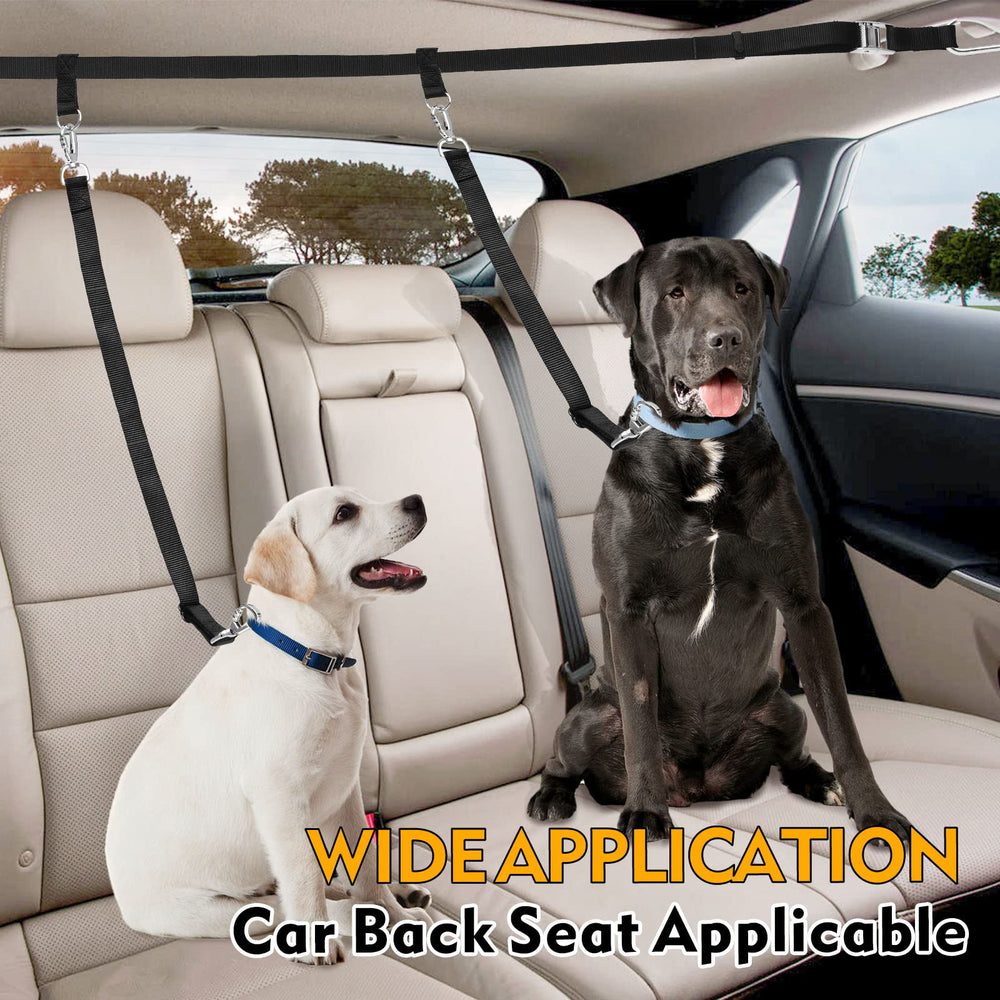 Snagle Paw truck bed leash in action for safer car rides
