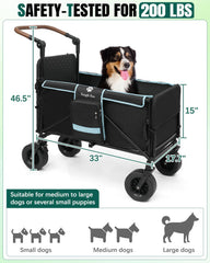 Snagle Paw stroller interior showing breathable mesh for comfort and airflow.