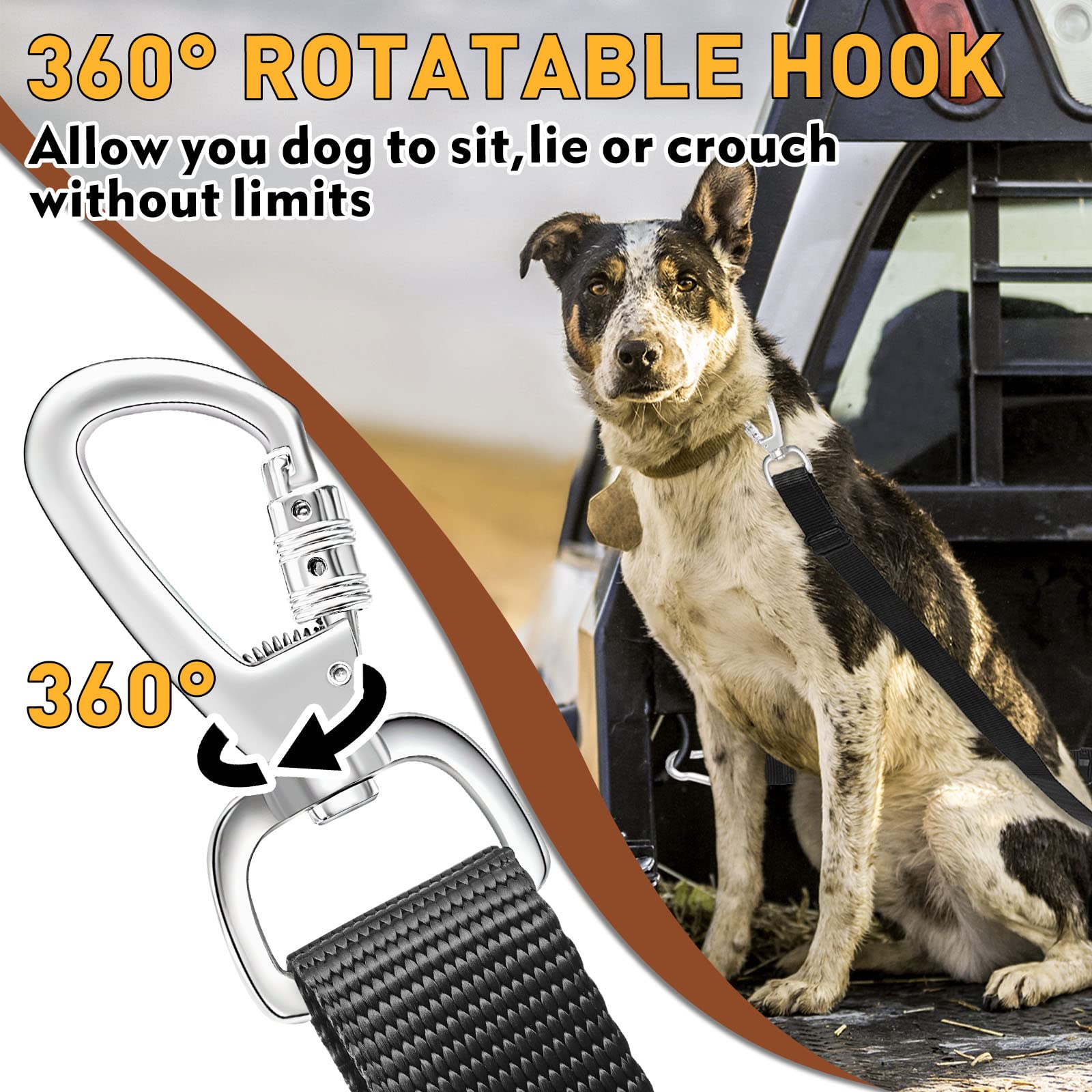 Snagle Paw stainless steel carabiner clip resists rust during adventures
