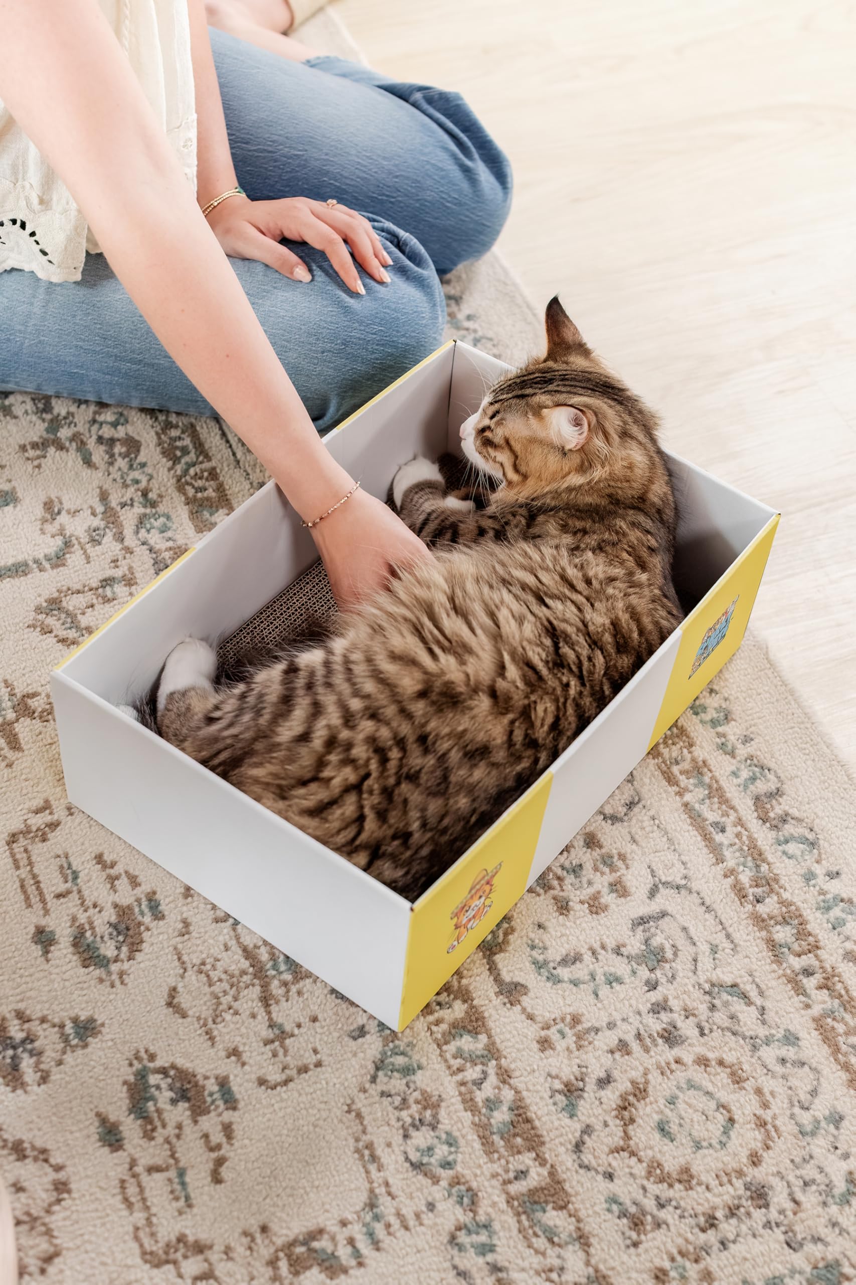 Snarky Pets Timmy XL living-room-catio-use demonstrates space-saving indoor setup.