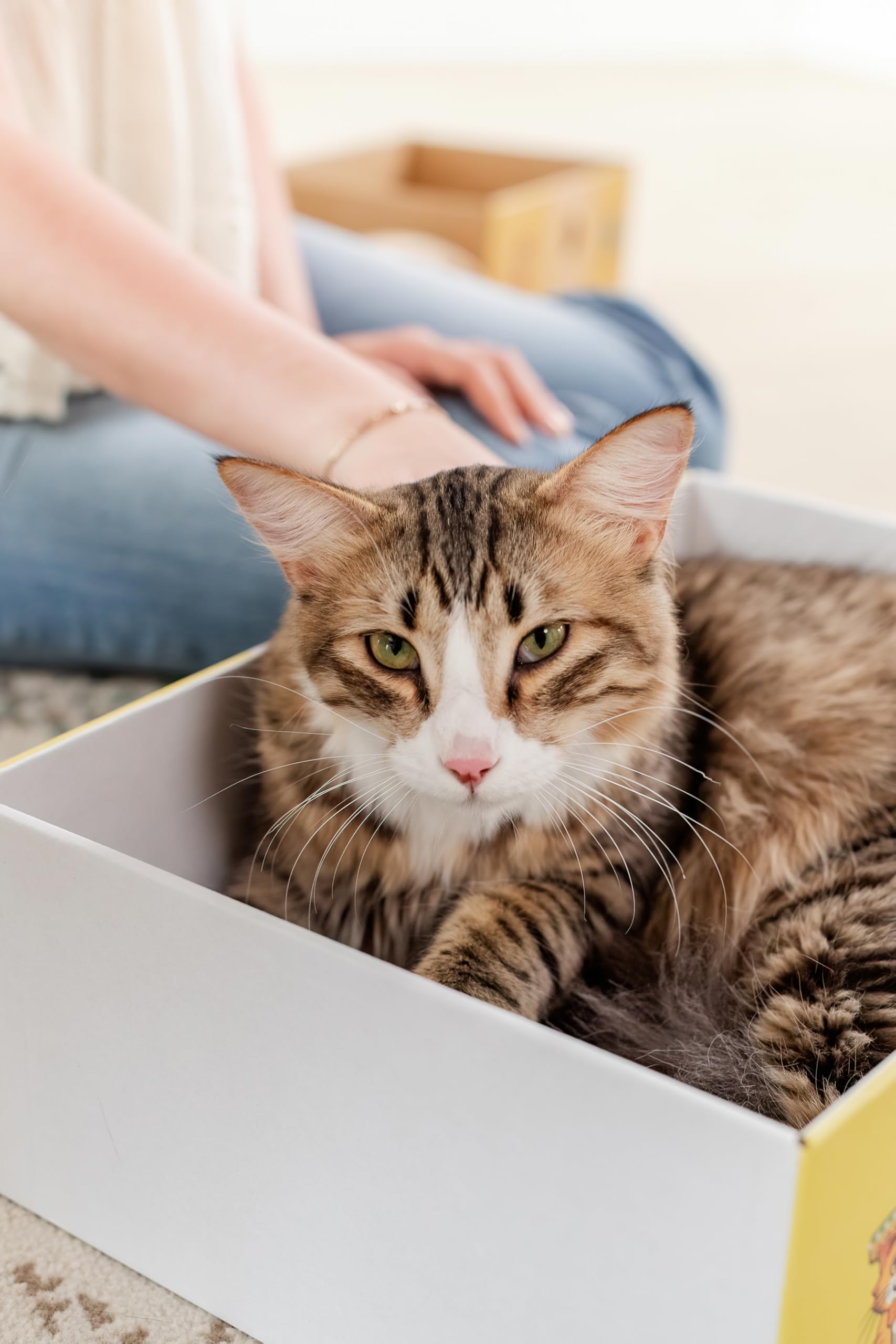 Snarky Pets Timmy XL ready-out-of-box shows instant use.