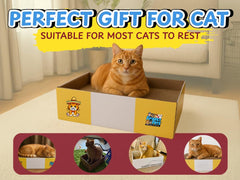 Snarky Pets Timmy XL open box reveals instant, tool-free setup for playtime.