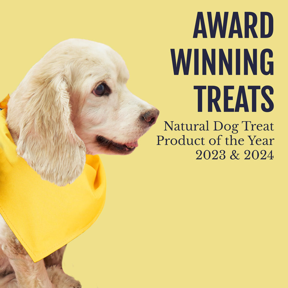 Snif-Snax smoked-chicken-breast-dog-treats high-protein bites for active dogs.