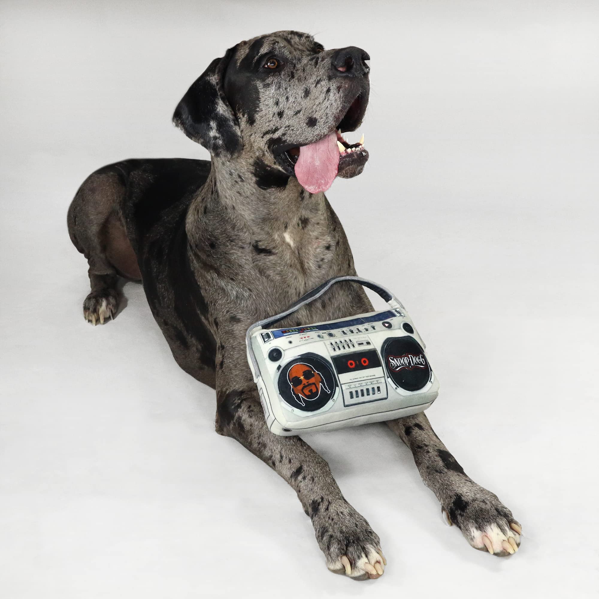 Snoop Doggie Doggs Boom Box, aviso de seguridad, no apto para masticar.