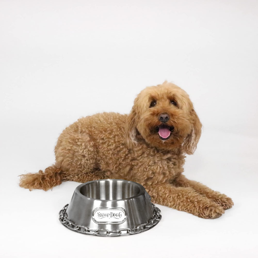 Snoop Doggies Doggs Deluxe large-capacity bowl holds five cups for big pets