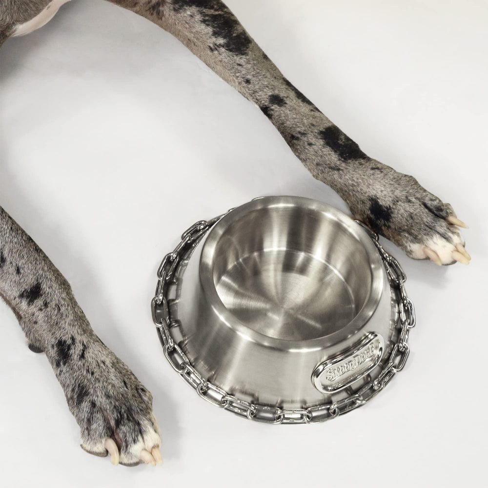 Snoop Doggies Doggs Deluxe packaging-ready design for gifting or display