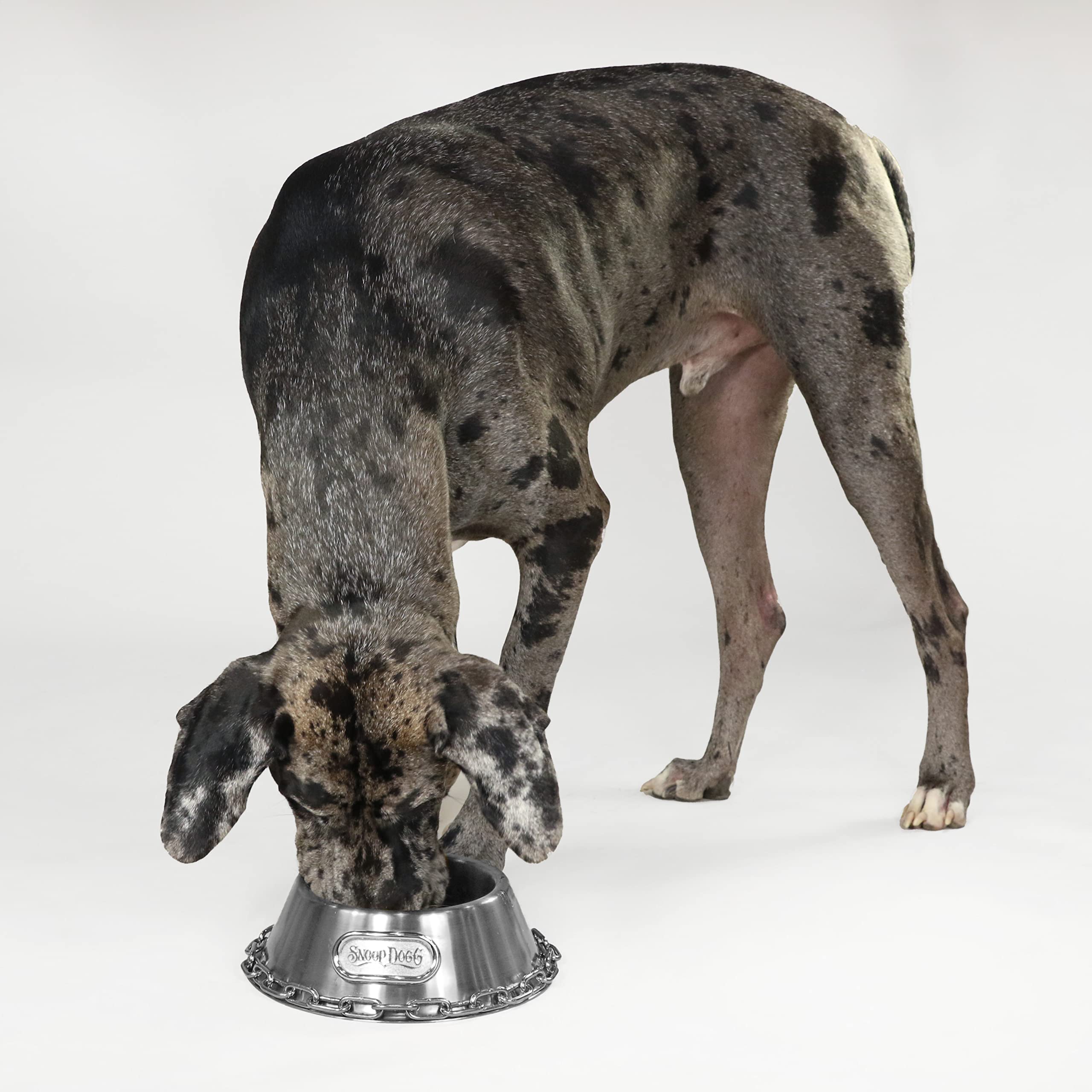 Snoop Doggies Doggs Deluxe stainless steel finish is food-safe and easy to clean