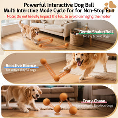 SNOYWEN Rotating dog ball showcases automatic movement and varied play patterns.