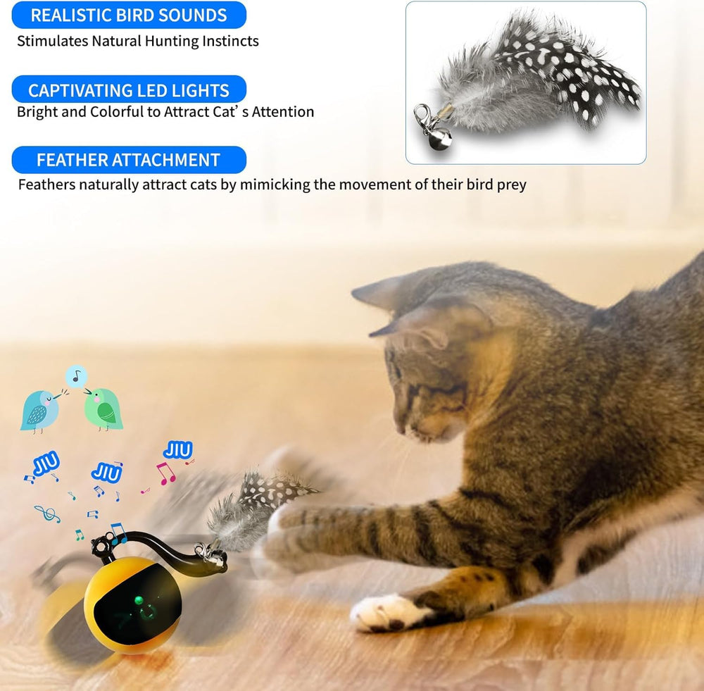 Snoslme automatic moving cat toy pauses after a minute, then resumes