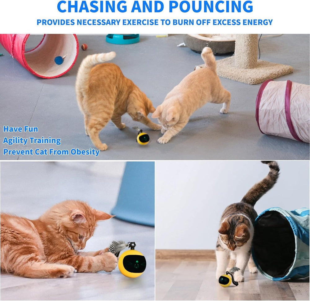 Snoslme indoor cat toy usable on carpets and hard floors