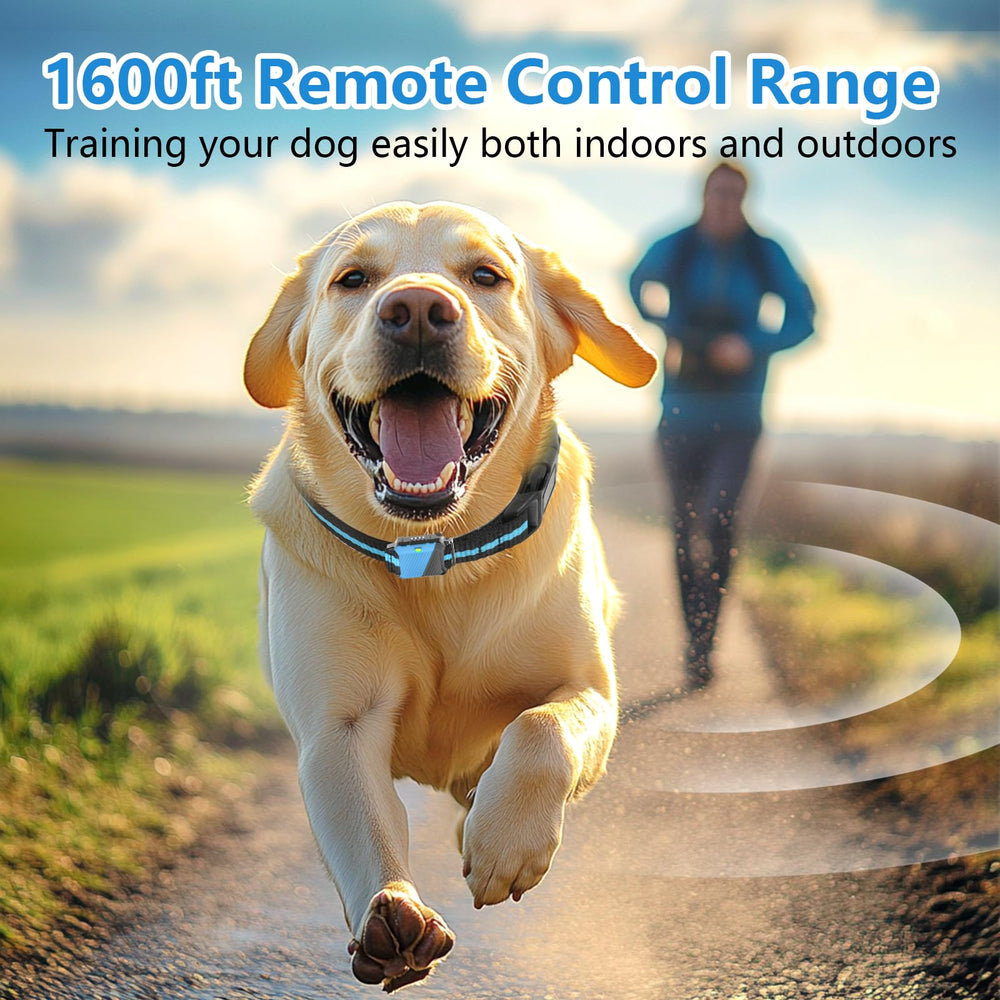 Snsng dog training collar 3 training modes demonstrated for versatile training