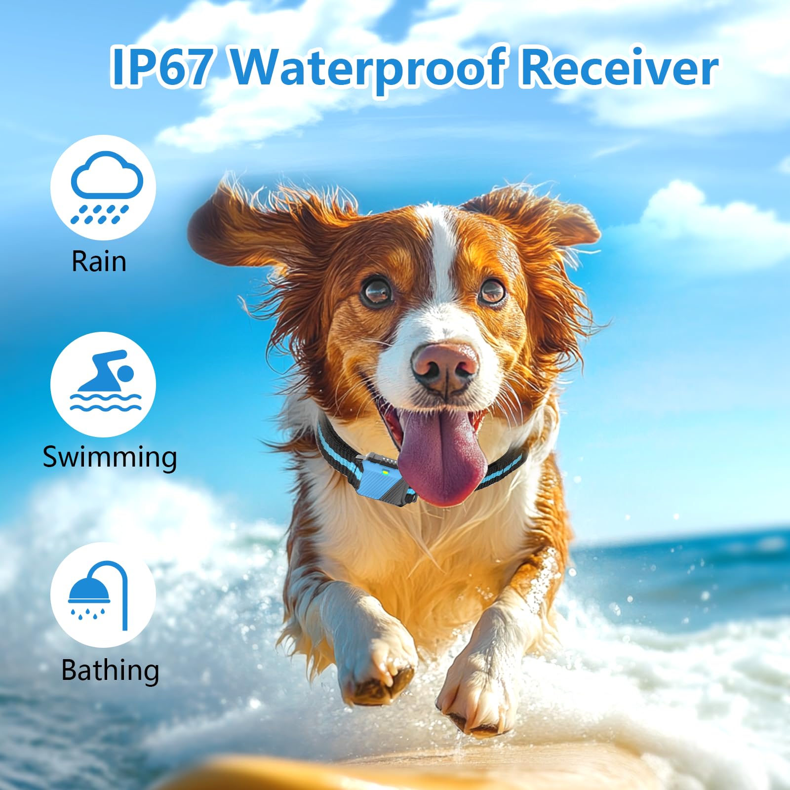 Snsng dog training collar IP67 waterproof receiver in rain or splash