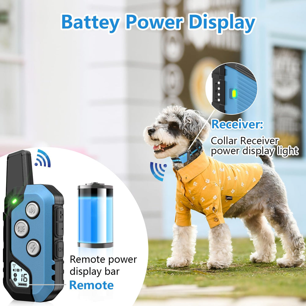 Snsng dog training collar worn on dog during outdoor walk