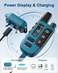 Snsng dual-channel remote for separate or synchronized commands