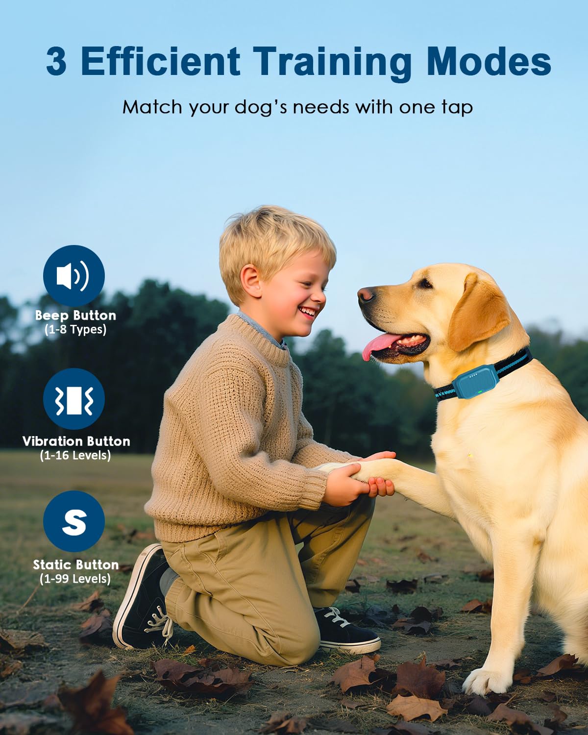 Snsng remote control training system in action for two dogs