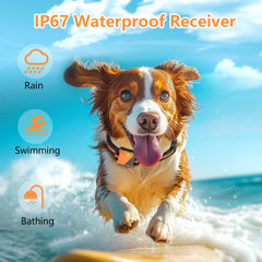 Snsng beep mode visual cue supports calm learning during daily walks.