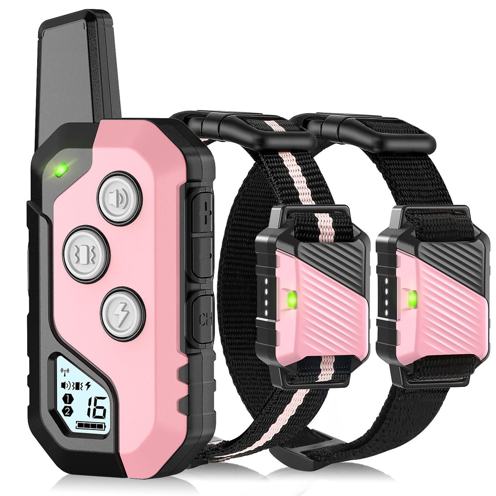 Snsng shock collar dual-dog system shows two collars for synchronized training sessions.