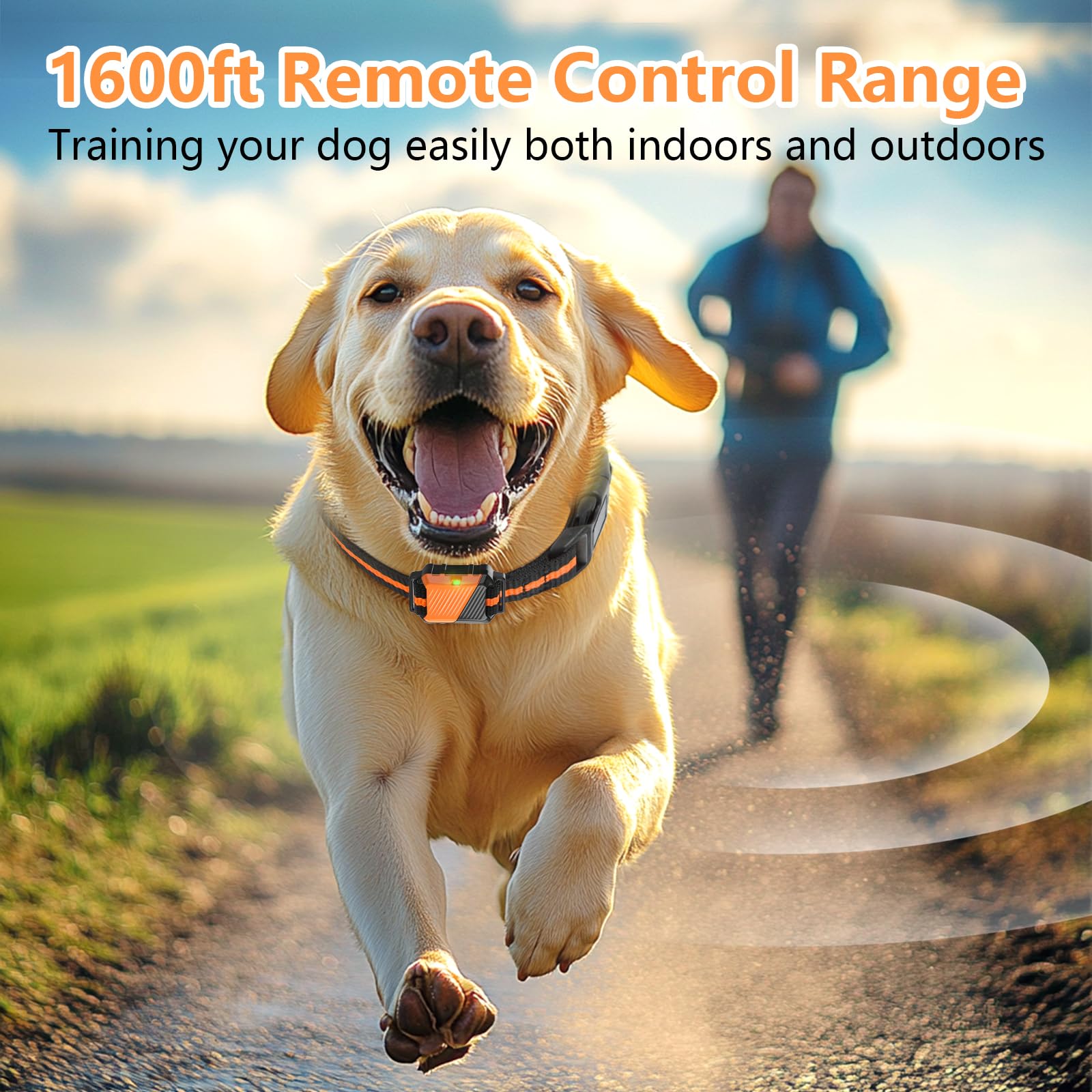 Snsng static mode delivers consistent correction cues across varying environments.