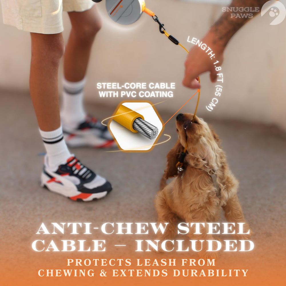 Snuggle Paws leash includes 360 swivel clip to prevent tangling and twisting during walks