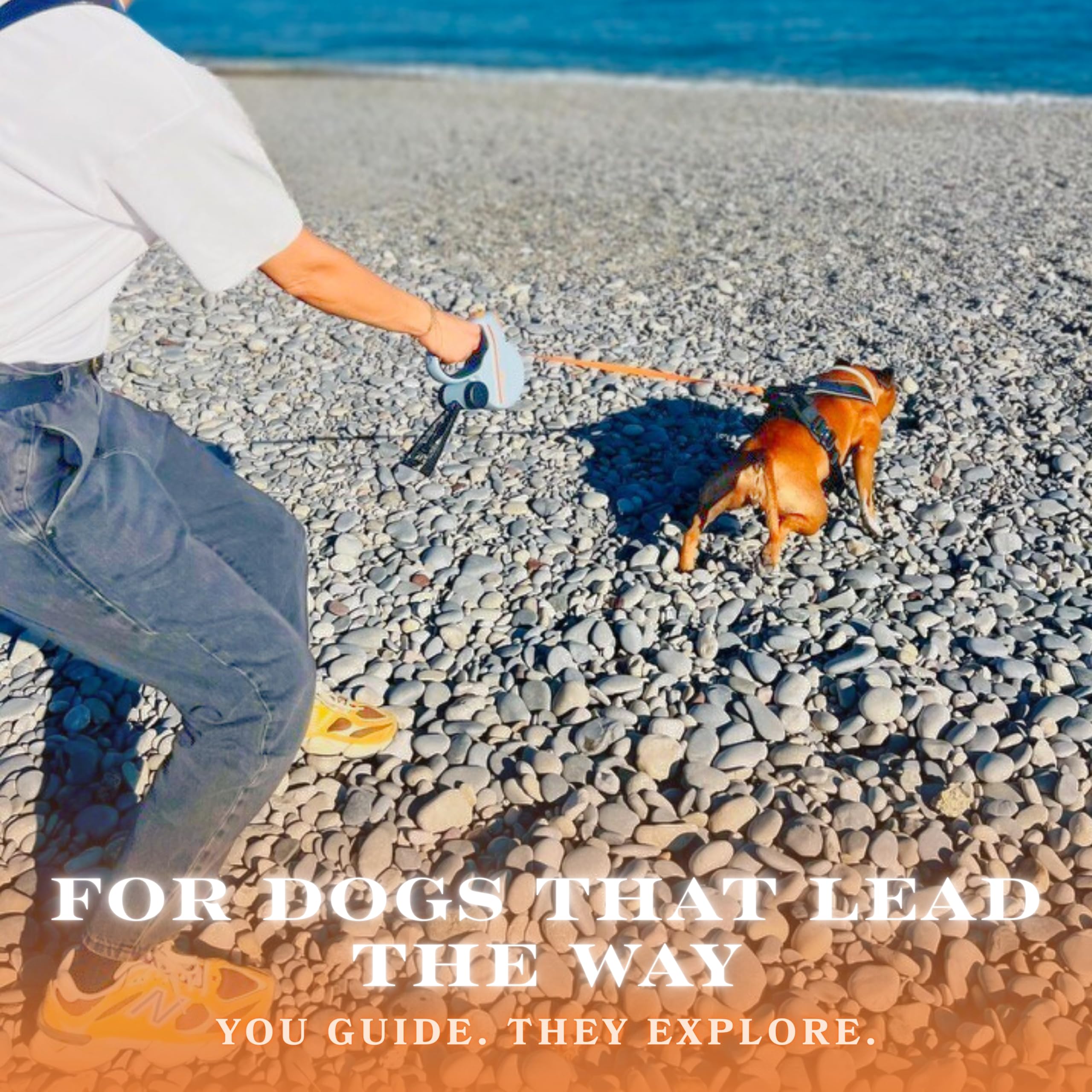 Snuggle Paws leash enhances nighttime walks with visibility and safety features