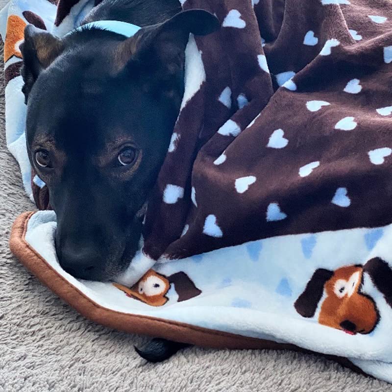 Snuggle Puppy blanket blue durable no-tear fabric built to last.