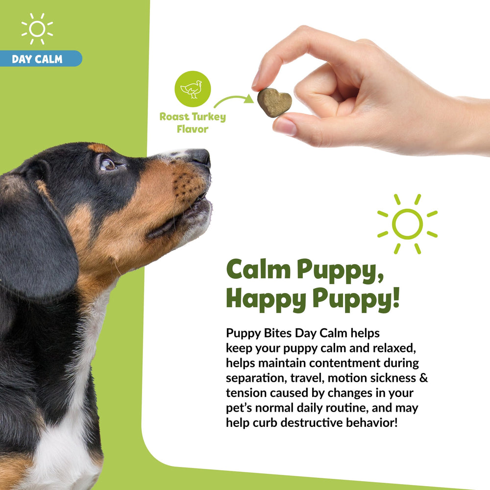 Snuggle Puppy Day Calm Bites colostrum chamomile close-up highlighting soothing ingredients