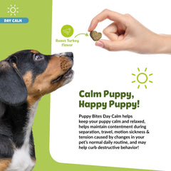Snuggle Puppy Day Calm Bites colostrum chamomile close-up highlighting soothing ingredients
