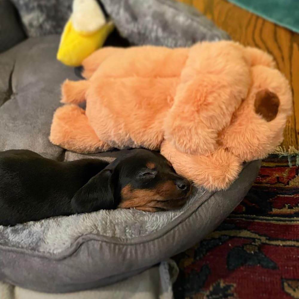 Snuggle Puppy Gift-Ready Heartbeat Toy suits new puppy homes.