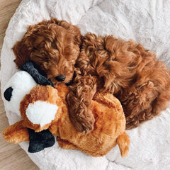 Snuggle Puppy nighttime use scene with dog and plush