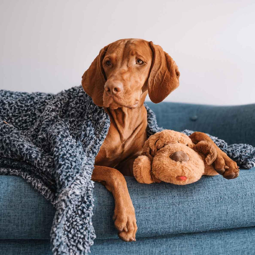 Snuggle Puppy Plus shows motion-activated heartbeat for independent calming sessions