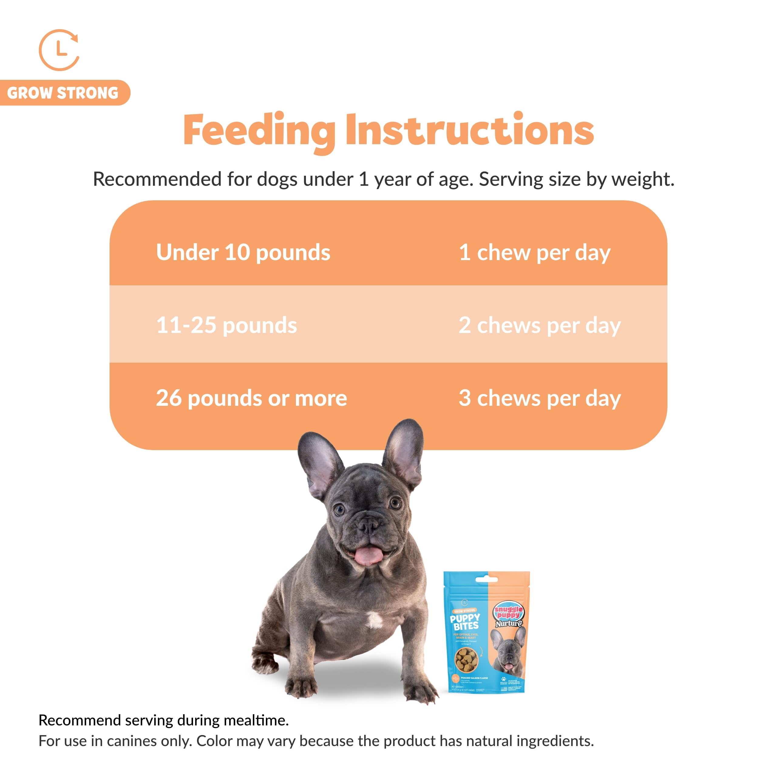 Snuggle Puppy Puppy Bites dog with glossy coat enjoying a treat