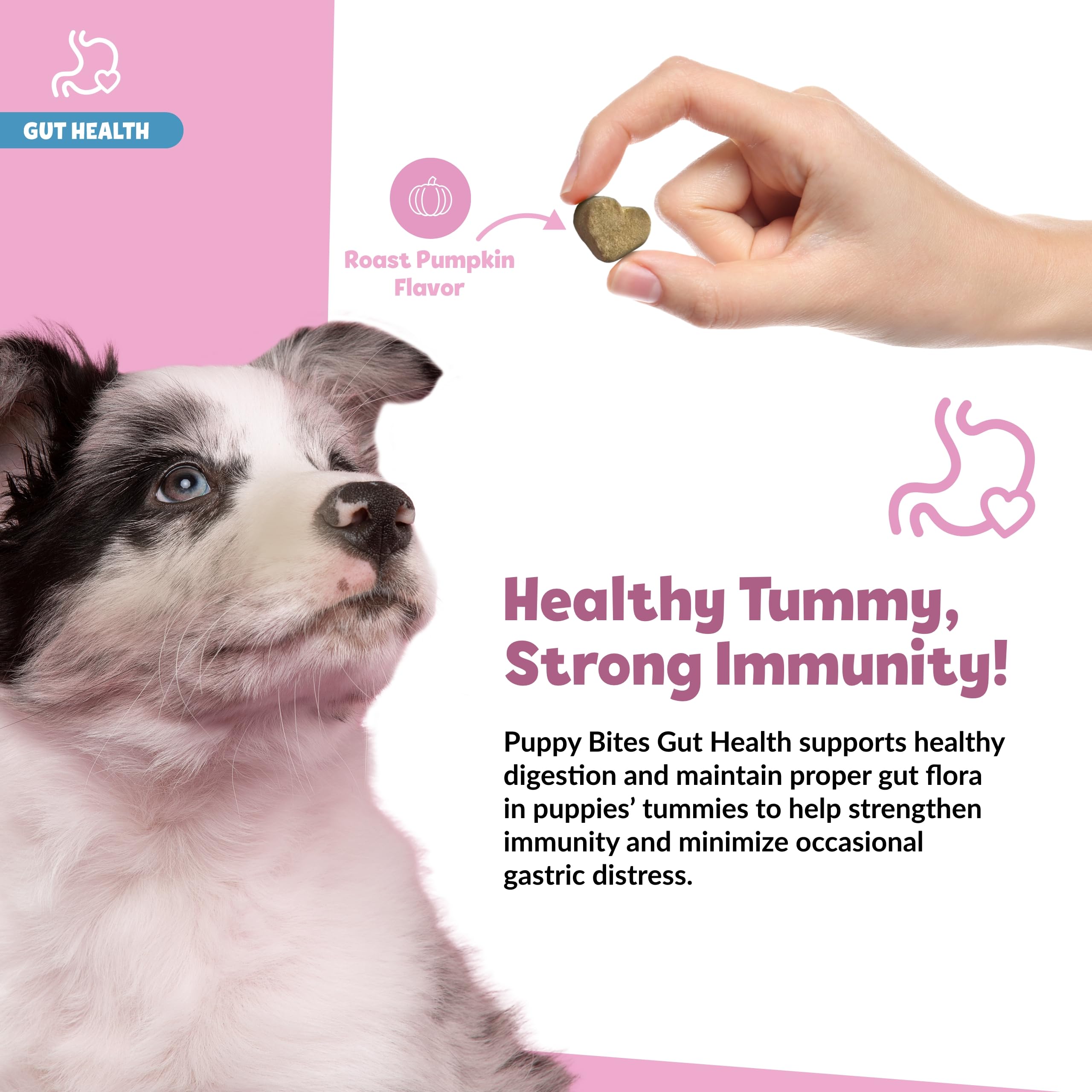 Snuggle Puppy Puppy Bites dog with bowl image conveys digestive health benefits