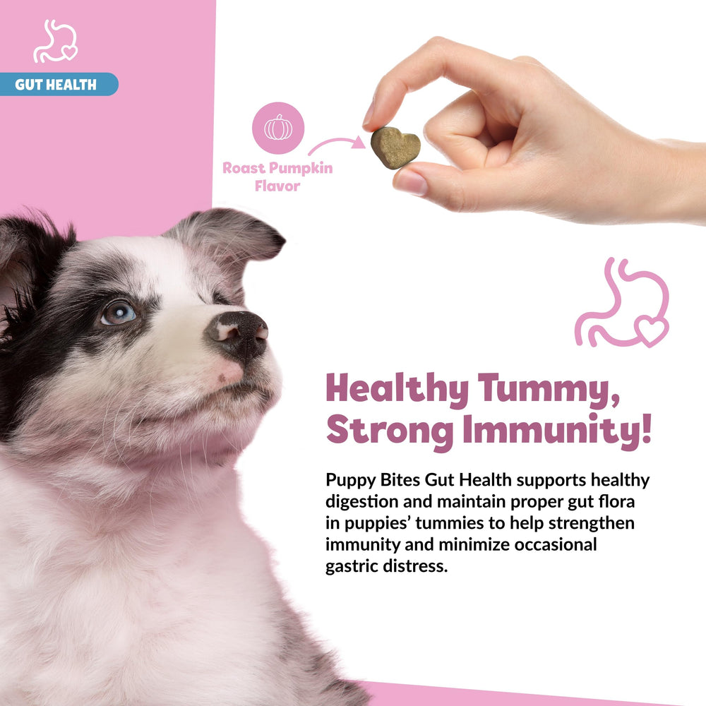 Snuggle Puppy Puppy Bites dog with bowl image conveys digestive health benefits