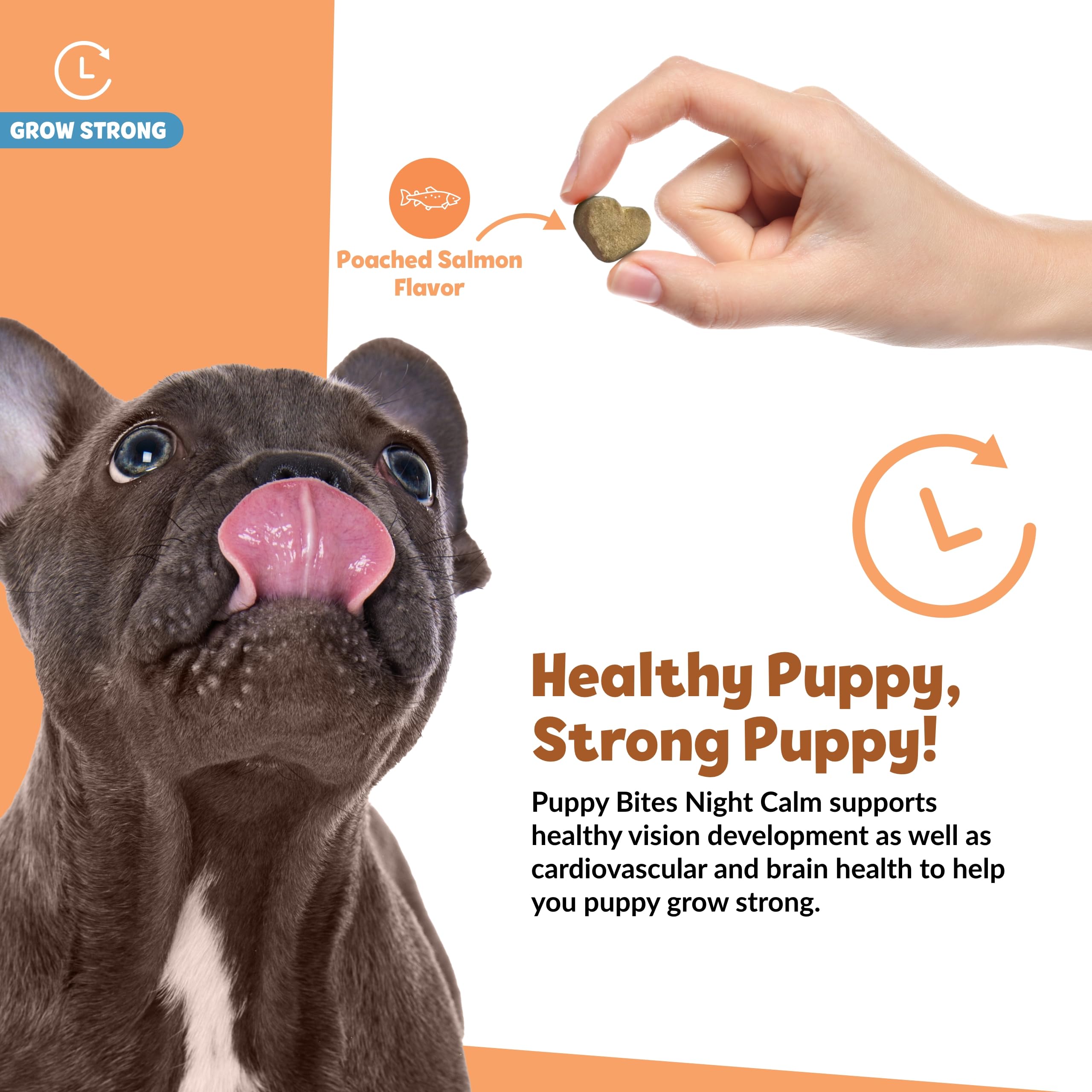 Snuggle Puppy Puppy Bites omega-3 dog supplement emphasizes fish oil benefits for coat and heart