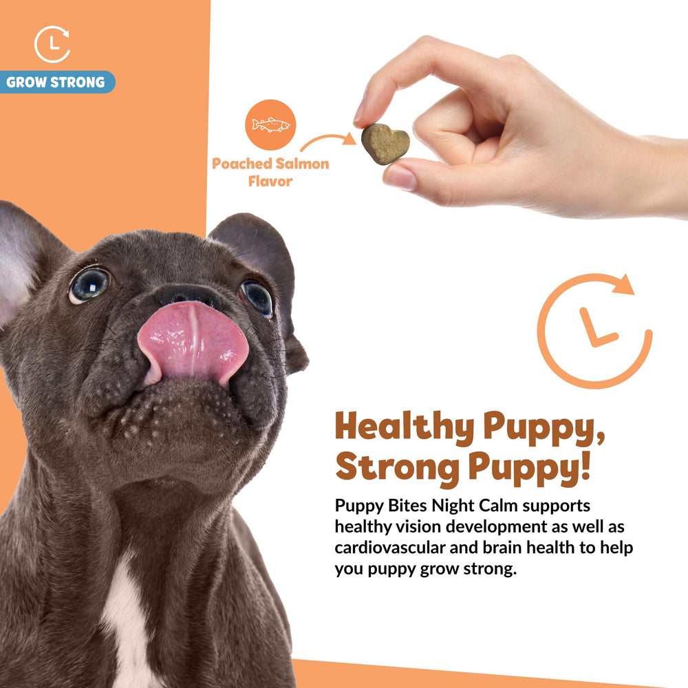 Snuggle Puppy Puppy Bites omega-3 dog supplement emphasizes fish oil benefits for coat and heart