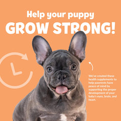 Snuggle Puppy Puppy Bites packaging label showcases calming and sleep-support features