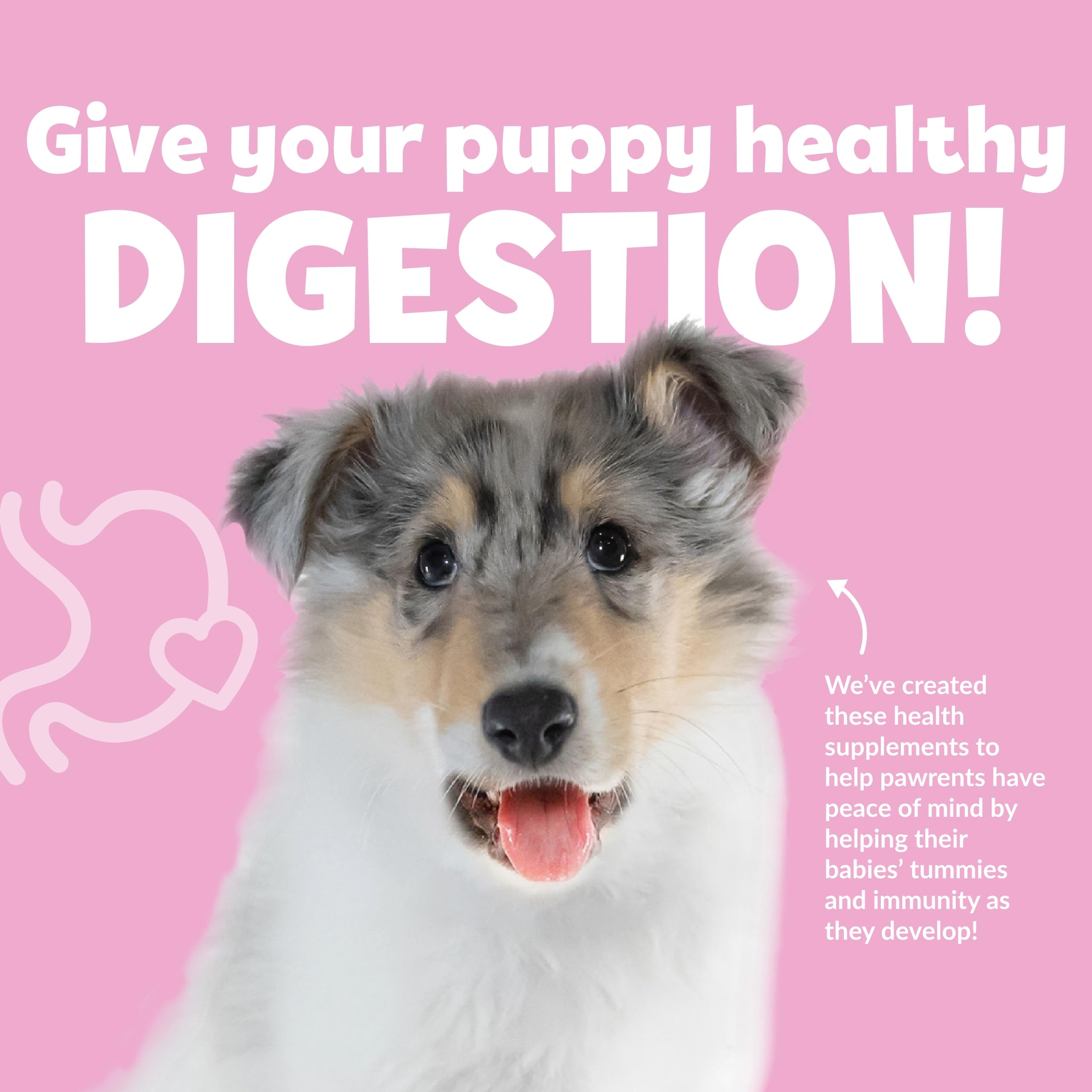 Snuggle Puppy Puppy Bites packaging shows premium ingredients and allergen-free formula