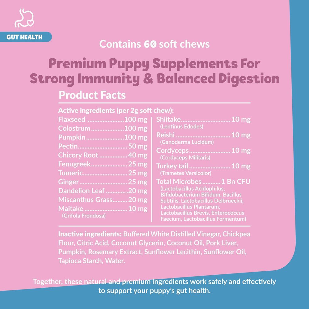 Snuggle Puppy Puppy Bites soft chews close-up illustrate easy, portioned treats for dogs