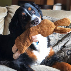 Snuggle Puppy Tender-Tuffs Whisper Rabbit for quiet indoor play, no squeaks