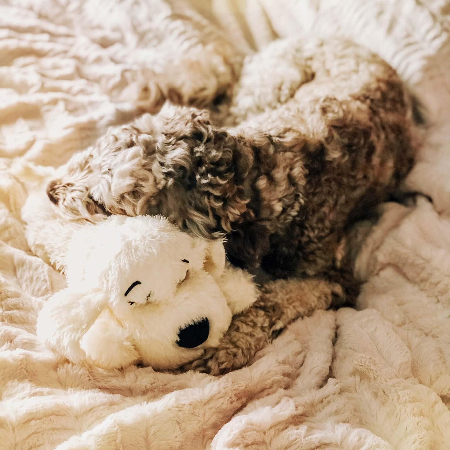 Snuggle Puppy US-based support and satisfaction guarantee shown