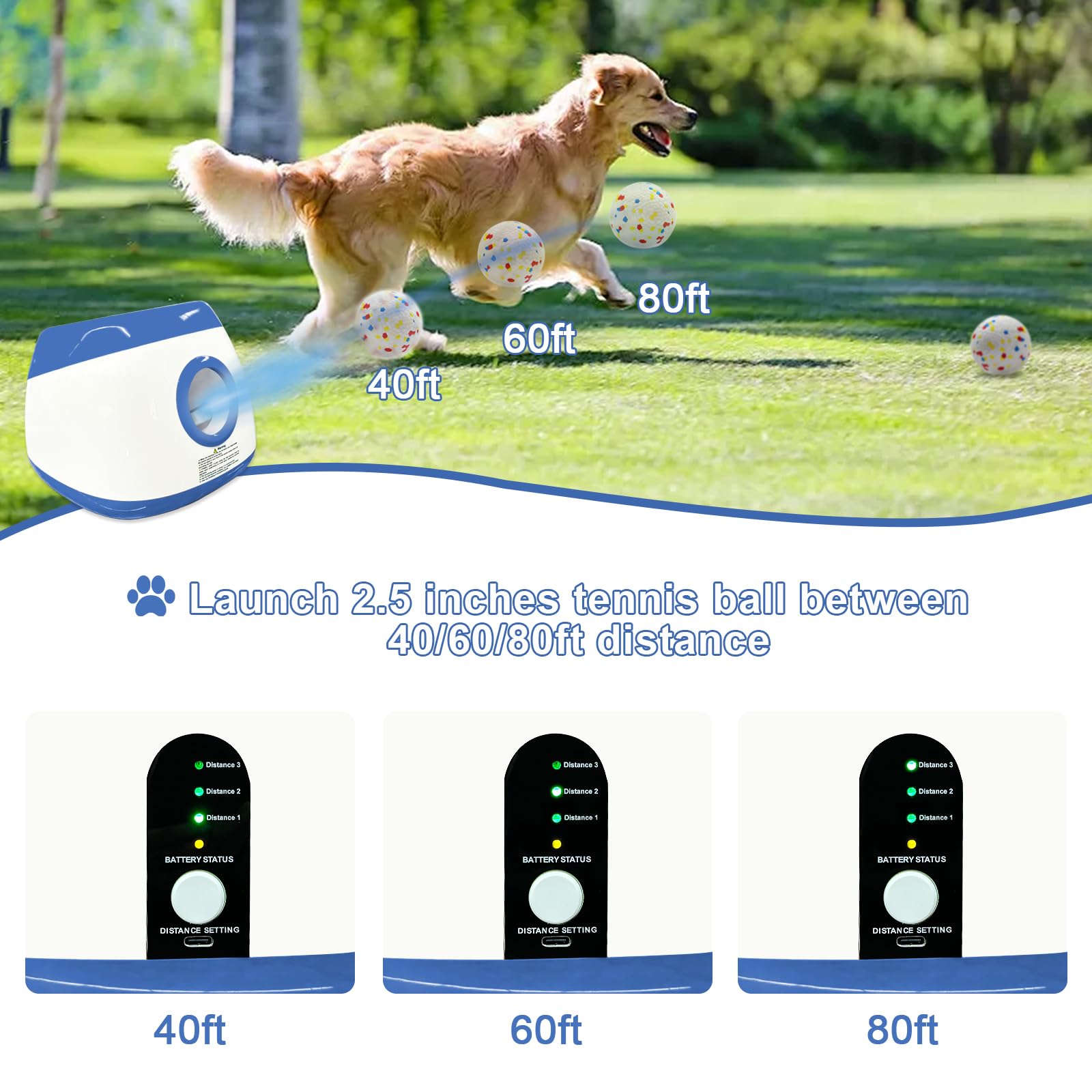 SOCO 2.5-inch ETPU balls close-up showing lightweight, chew-resistant design.