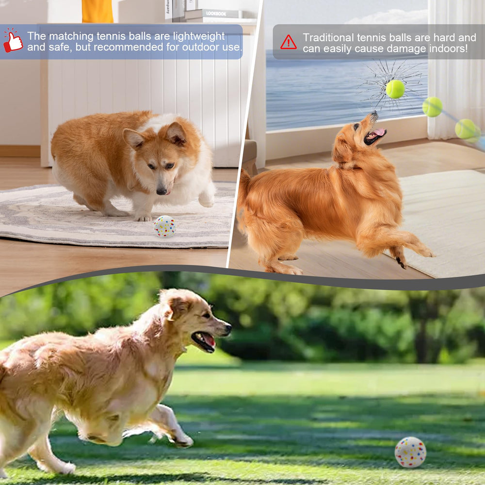 SOCO dog enjoys indoor-outdoor fetch with the launcher