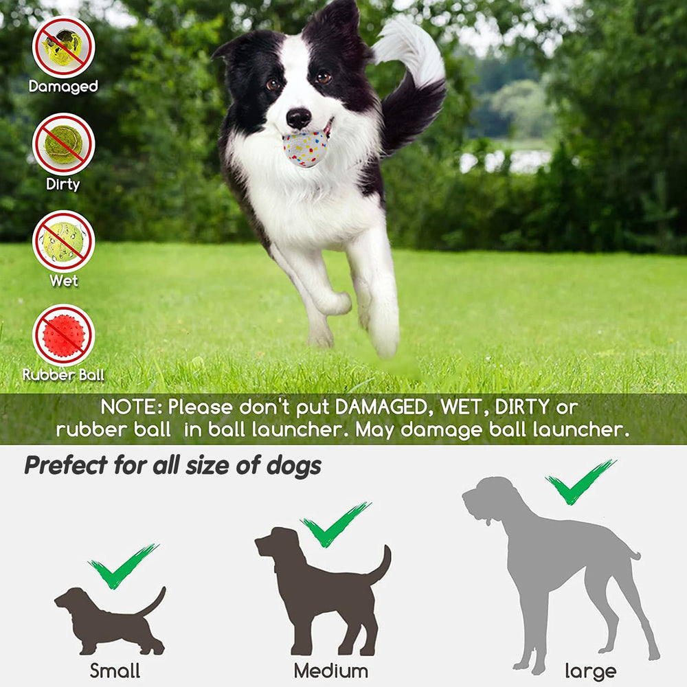 SOCO dog-friendly fetch play anywhere promotes exercise and enrichment