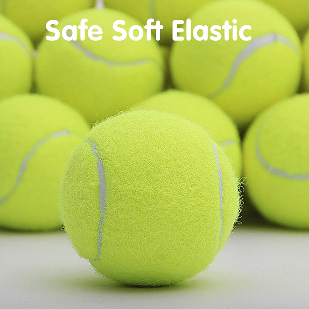 SOCO dog play fetch activity with bright 2-inch balls for interactive sessions.