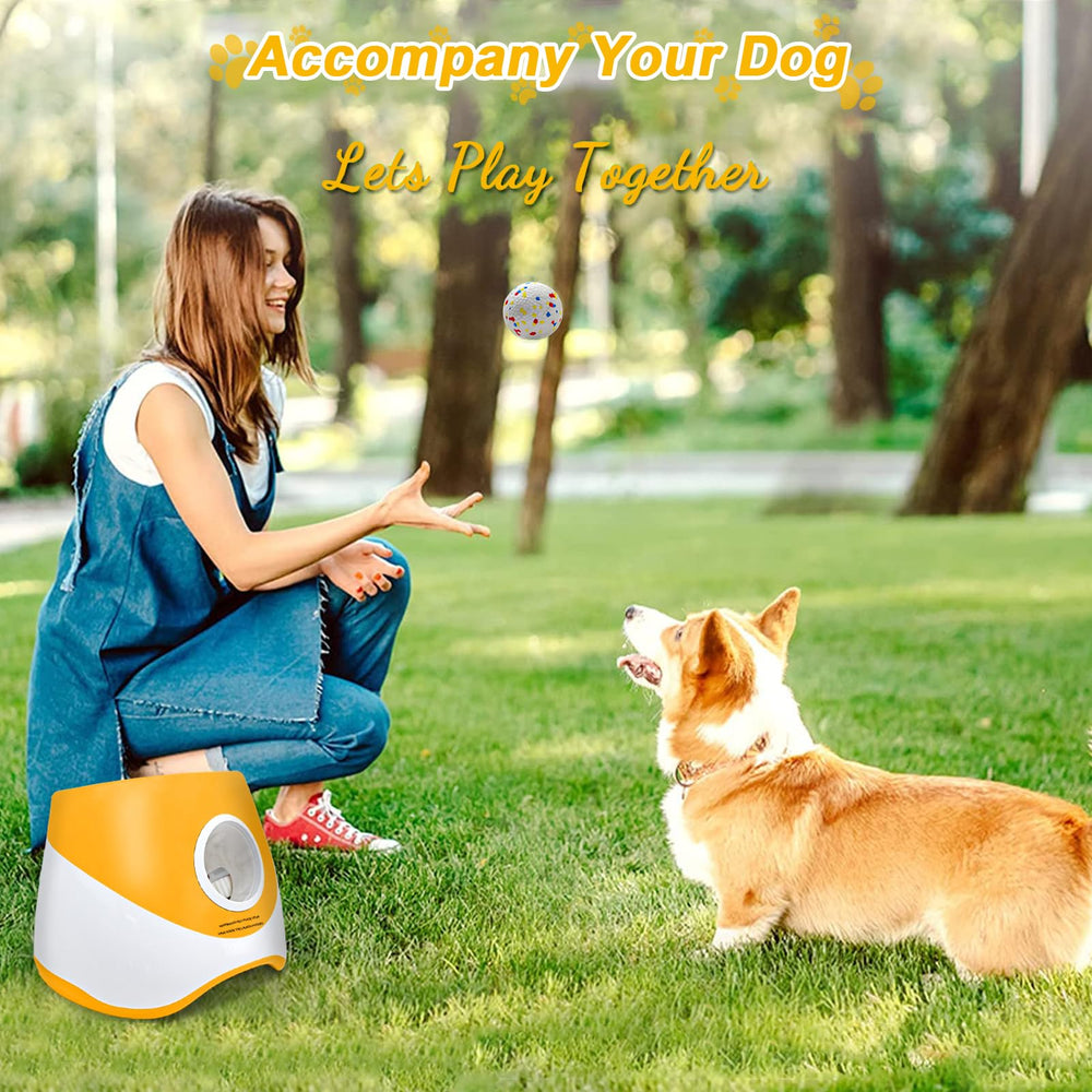 SOCO ideal for small to medium breeds for active play