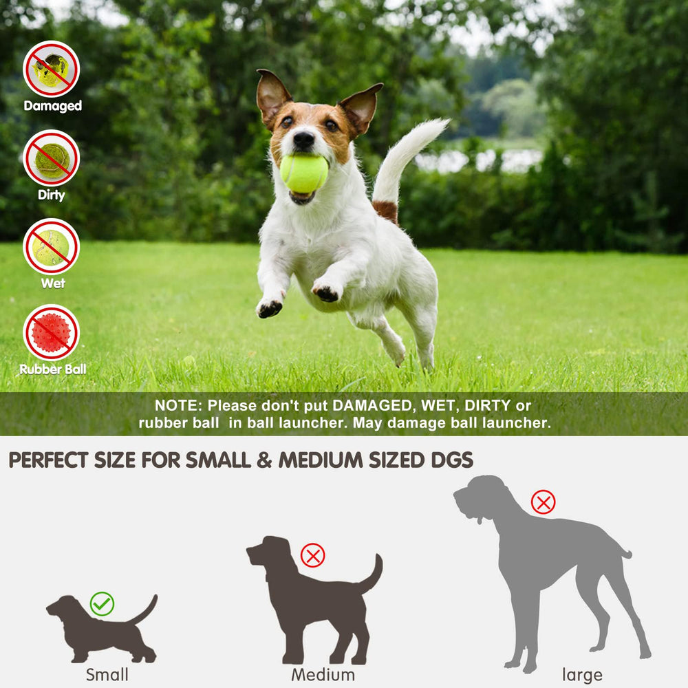 SOCO indoor-outdoor use demonstrates versatile play at home or in the yard