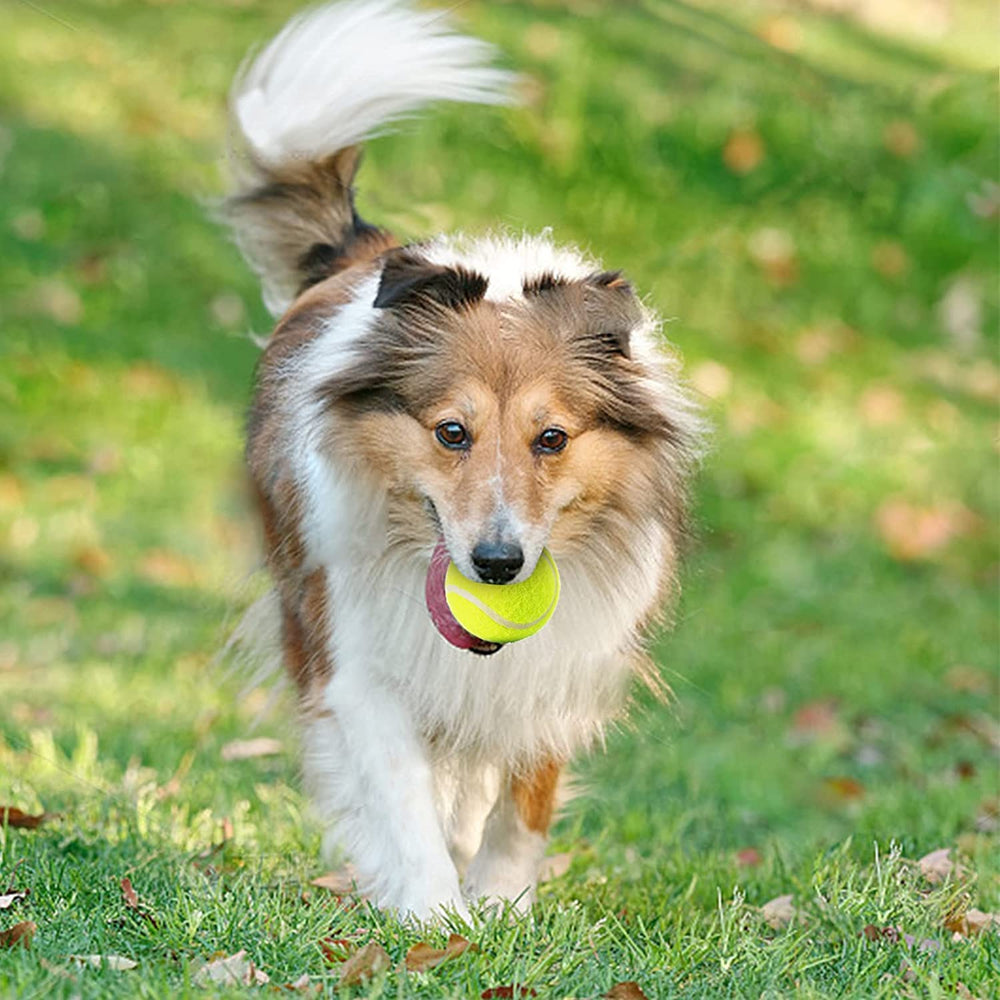 SOCO versatile uses include training, game balls, and quiet floor protection options.