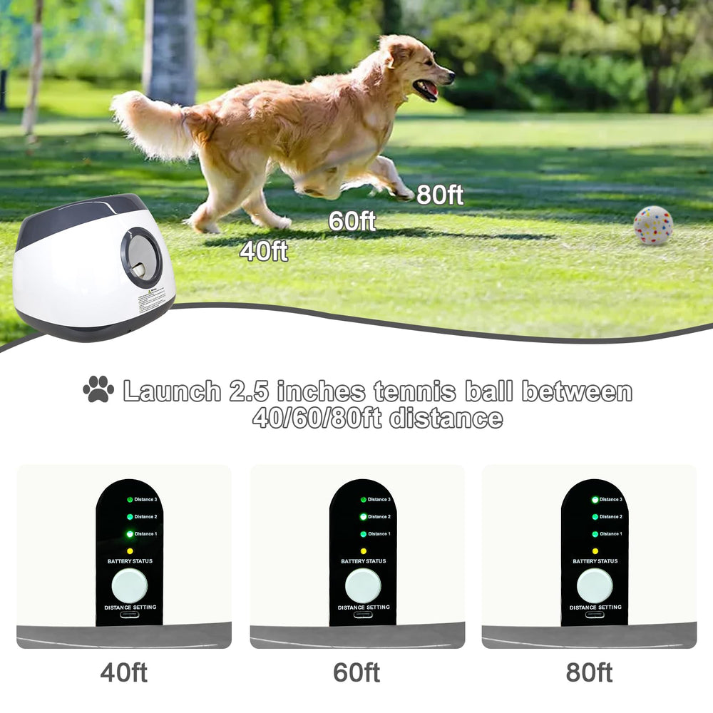 SOCO remote control in hand enabling hands-free dog playtime
